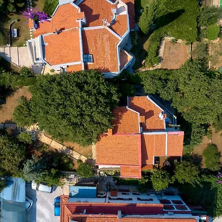 Lejlighed Dracice 1019