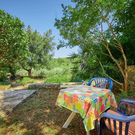 Apartman Dracice 1019 *