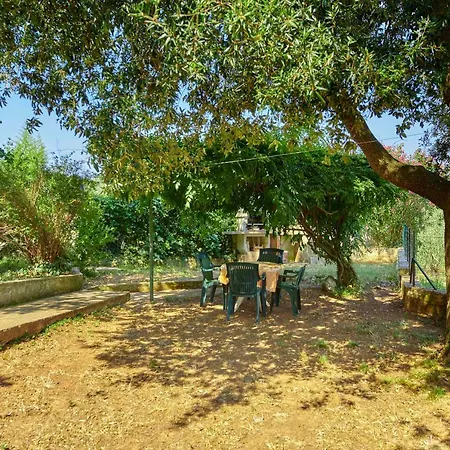 Apartman Dracice 1019