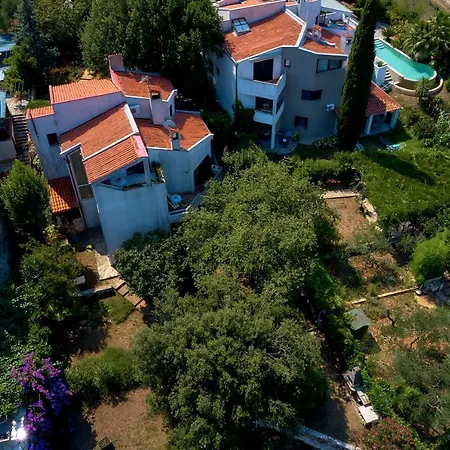 Dracice 1019 반졸레