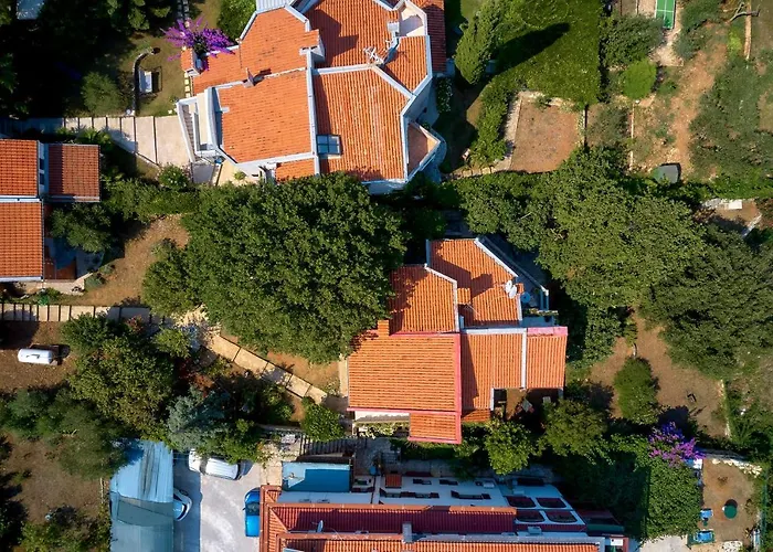 Apartament Dracice 1019