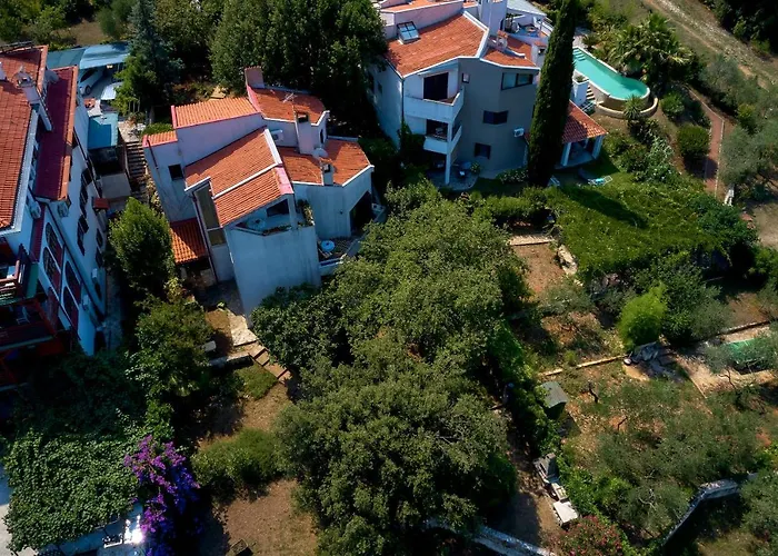 Dracice 1019 반졸레