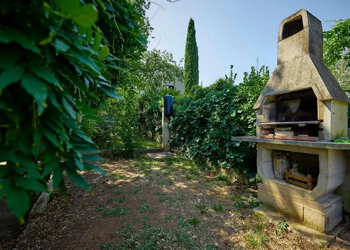 Dracice 1019 반졸레