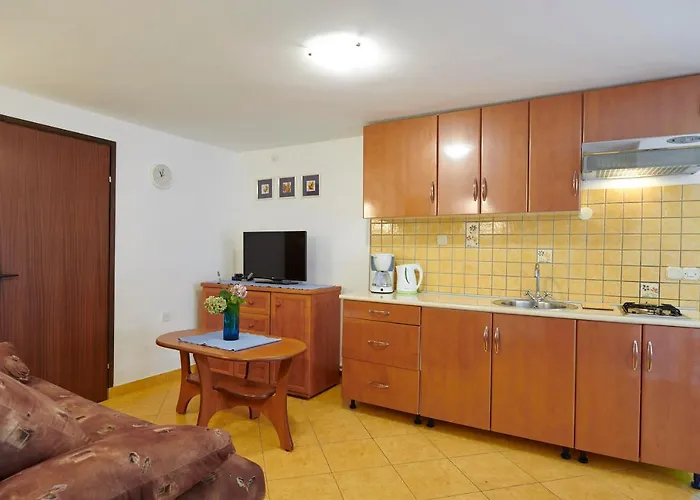 Dracice 1019 아파트 반졸레